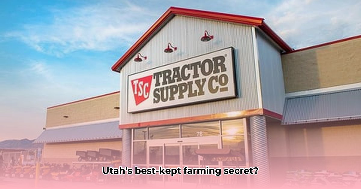 tractor-supply-brigham-city-utah